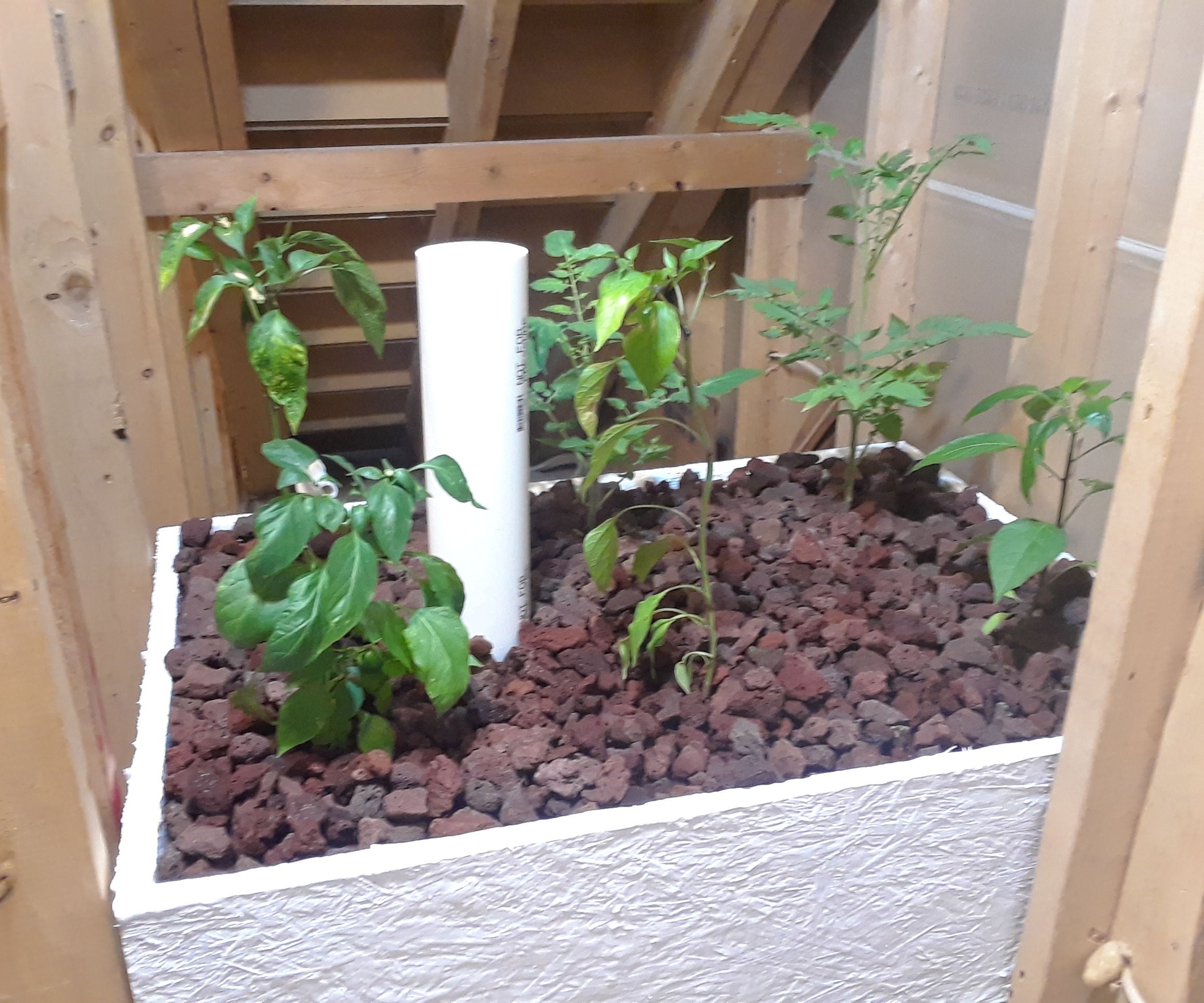 Complete Indoor Aquaponics - Start to Finish