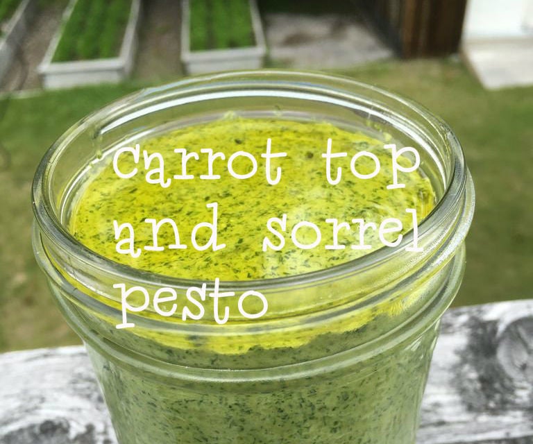 Carrot Top and Sorrel Pesto