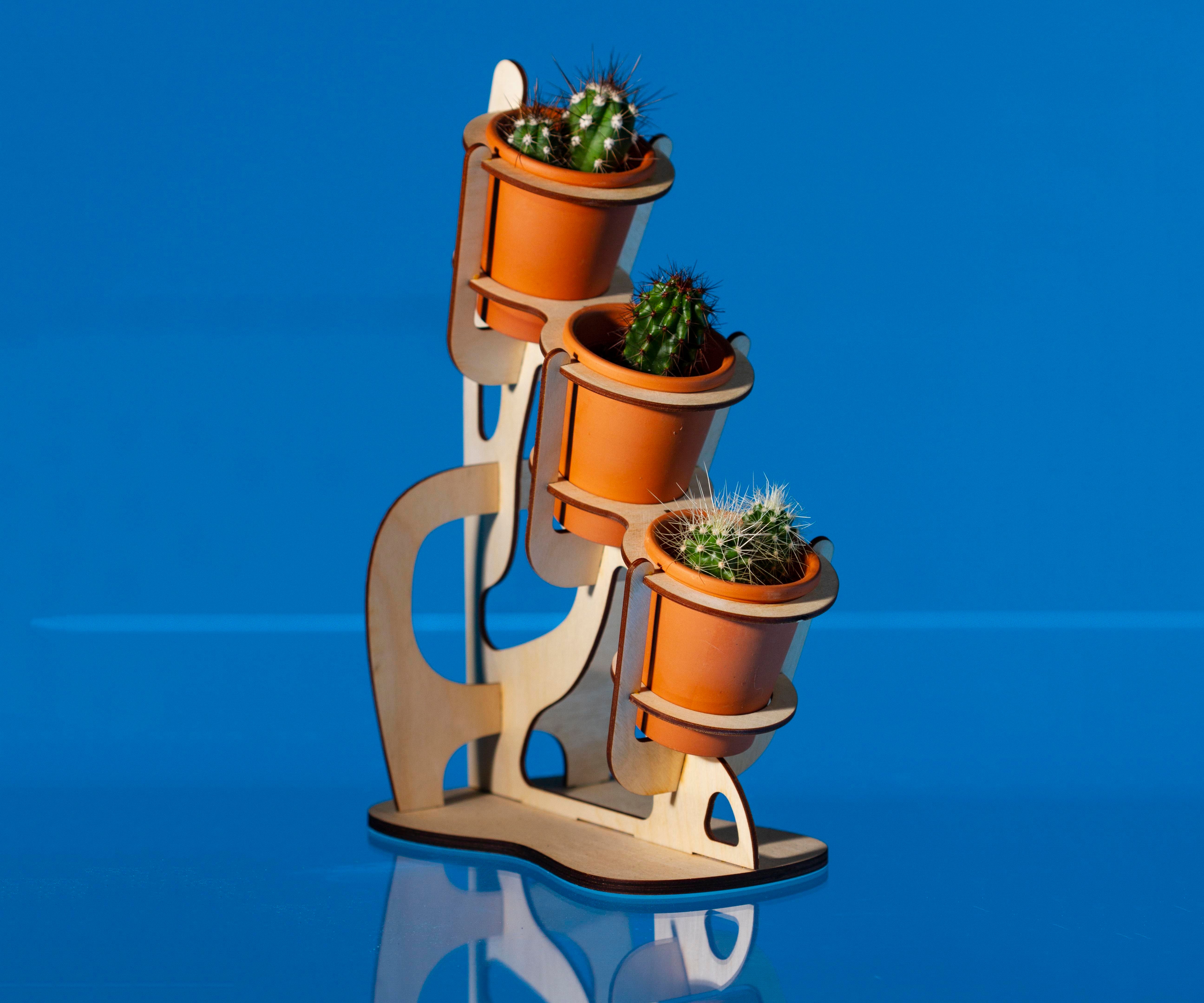 Laser Cut Cactus Planter