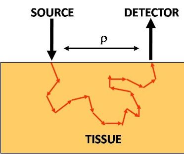 Diffuse Optical Spectroscopy and Imaging, Proof of Concept