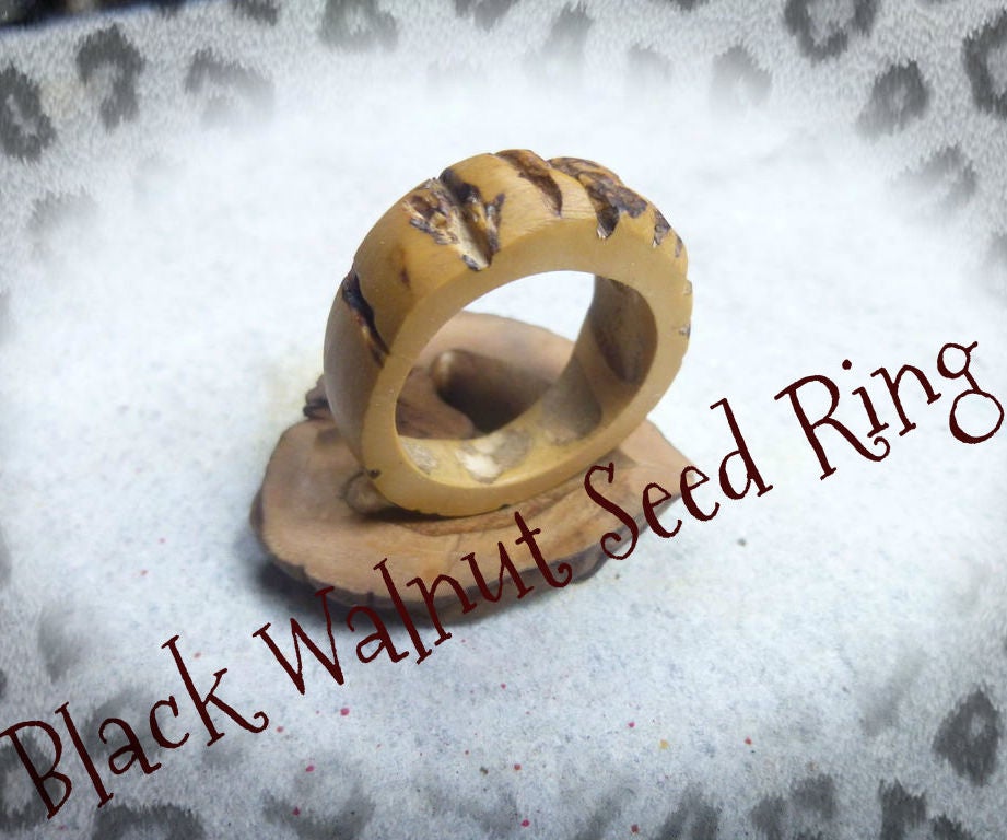 Black Walnut Seed Ring.