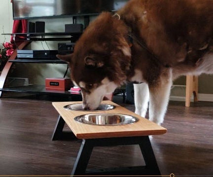 How to Make a Dog Feeding Station