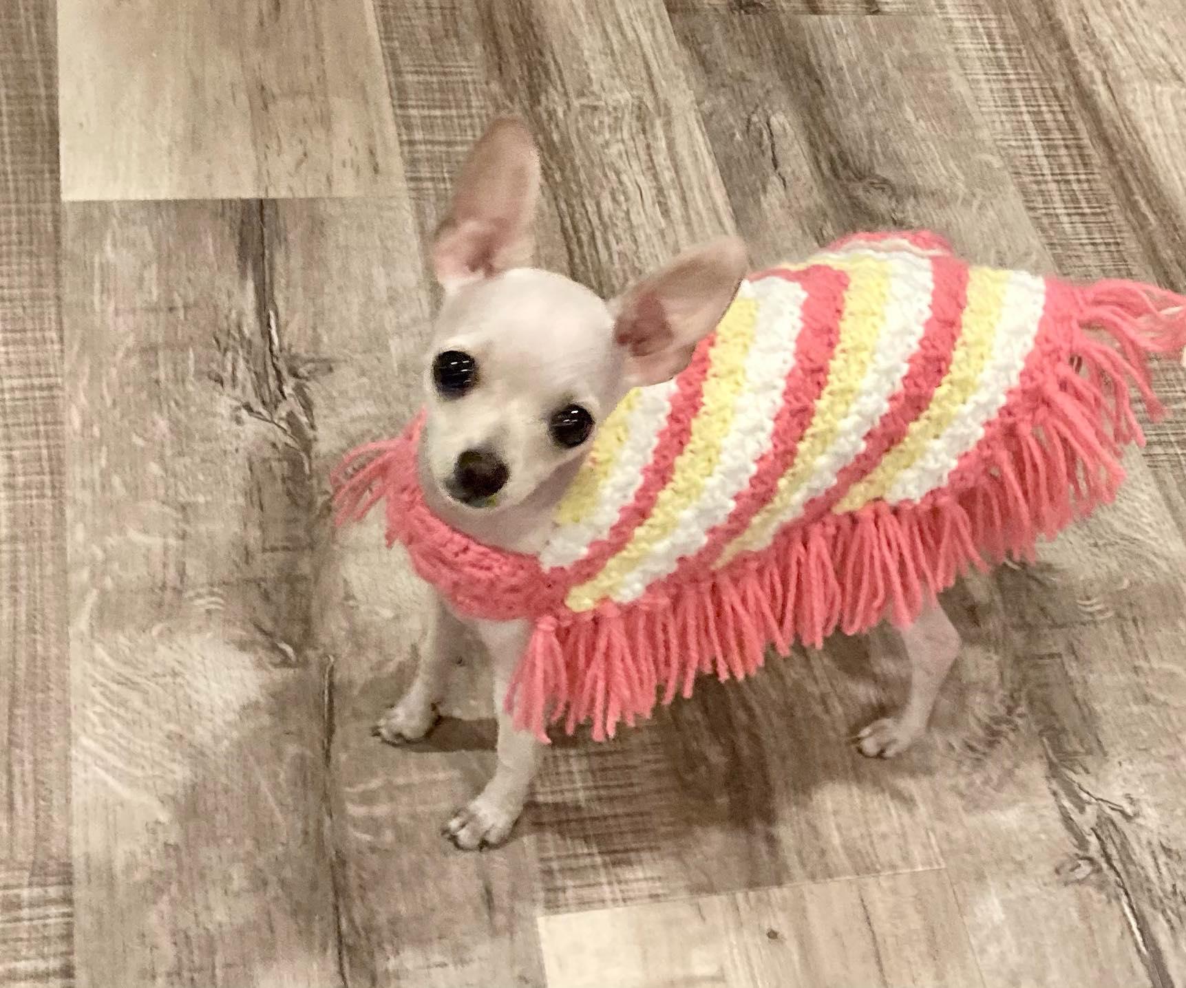 Small Dog Poncho