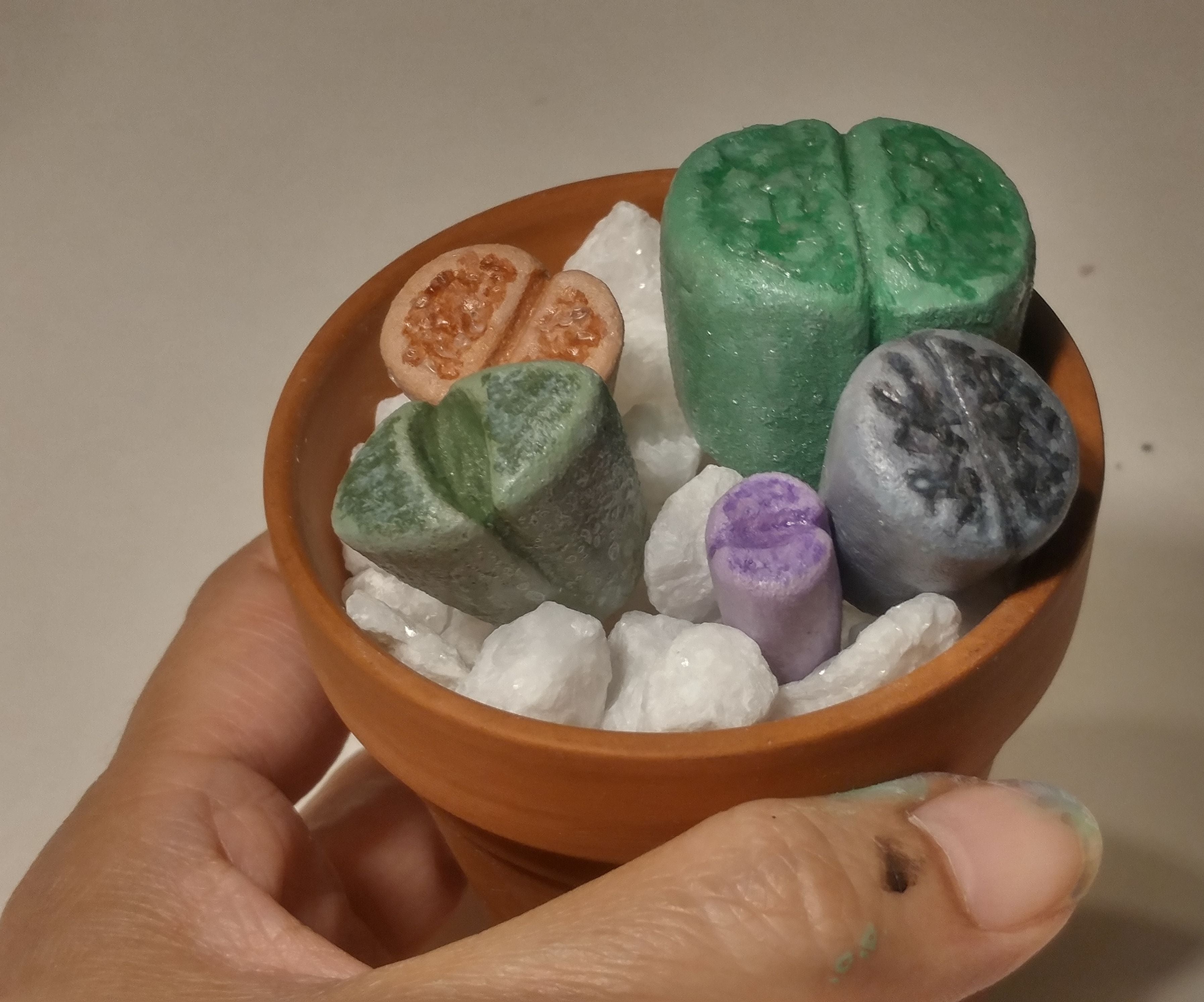 Faux Living Stones (Lithops)