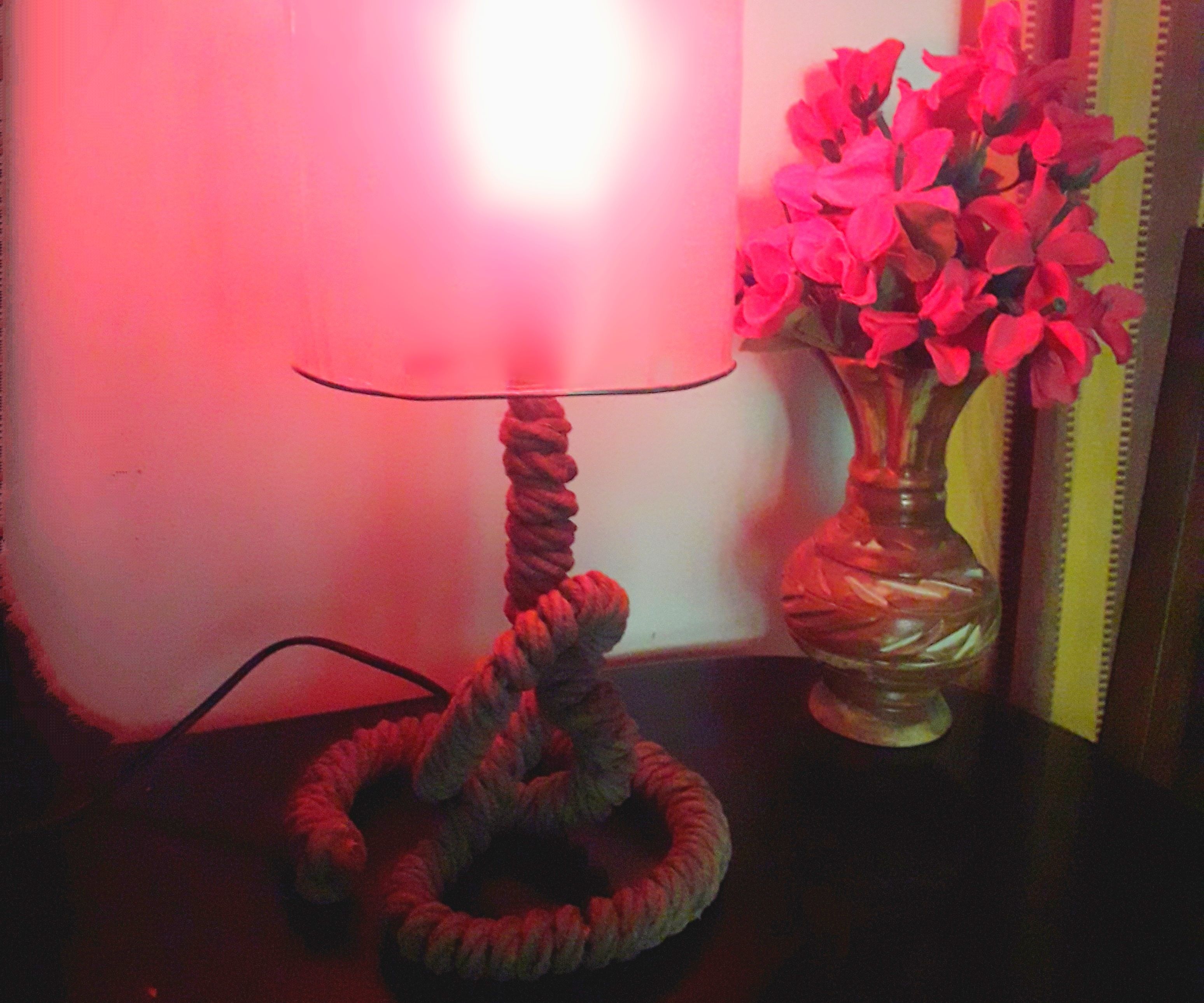 DIY Knotted Rope Table Lamp!