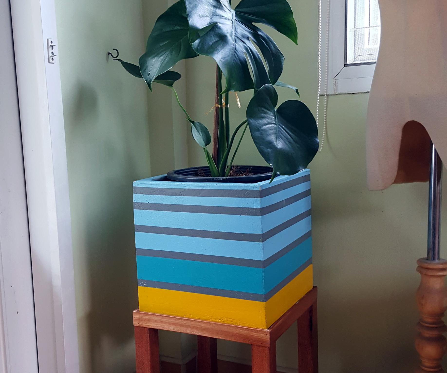 Monstera Giant Pot With Wooden Stand. 