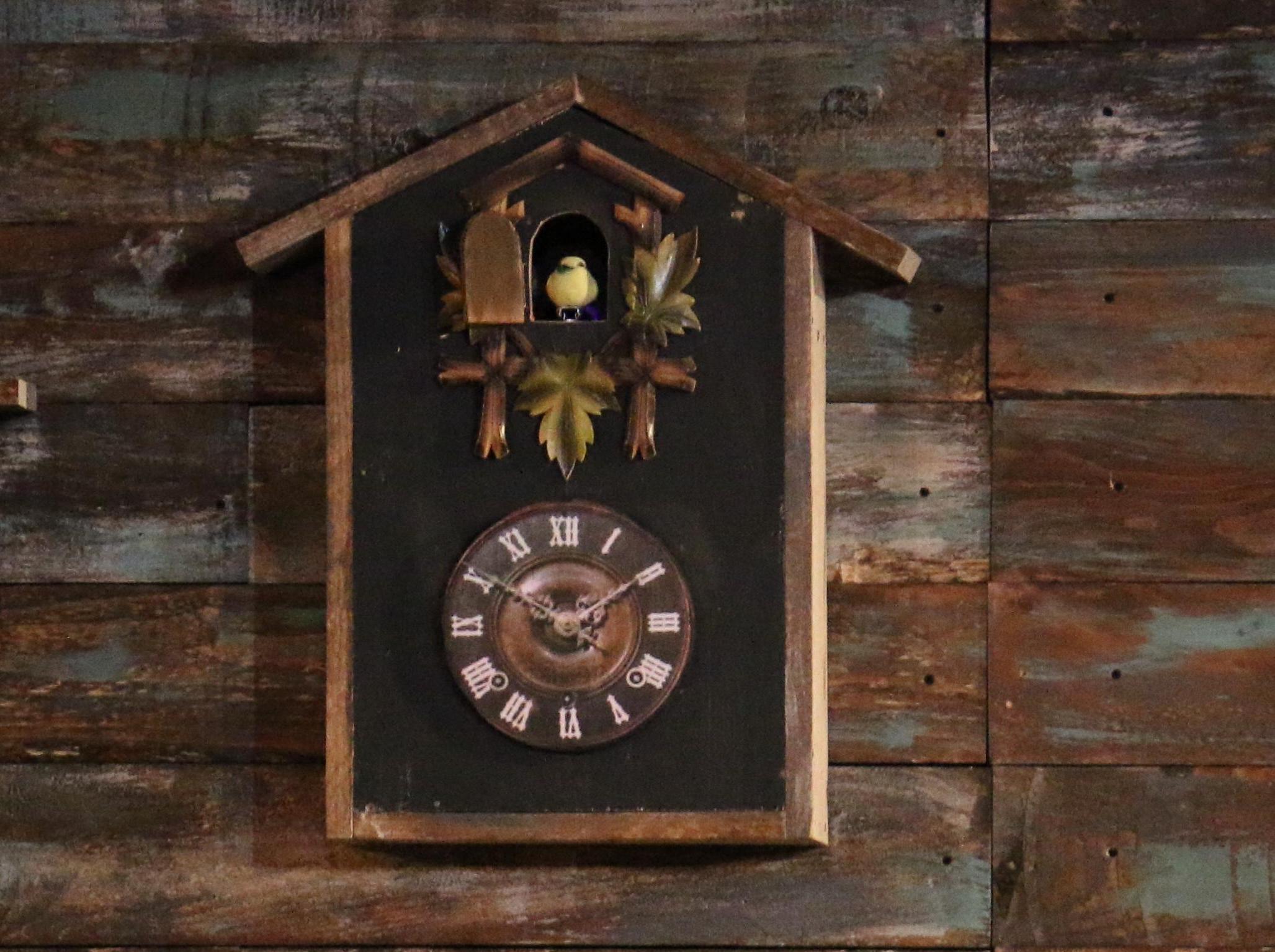 Exploding Cuckoo Clock - "Crazy for You" Musical