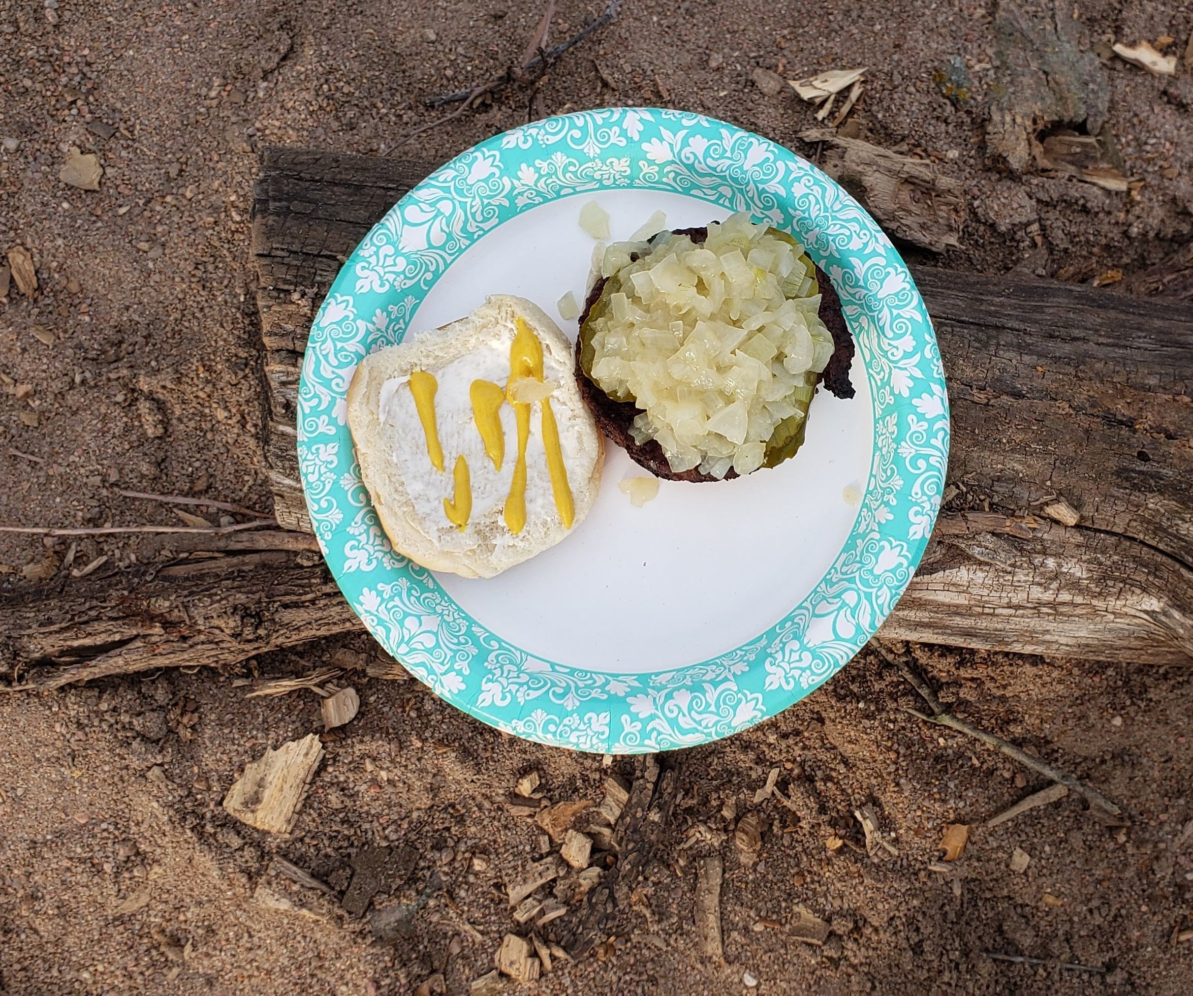 Caramelized Campfire Onions