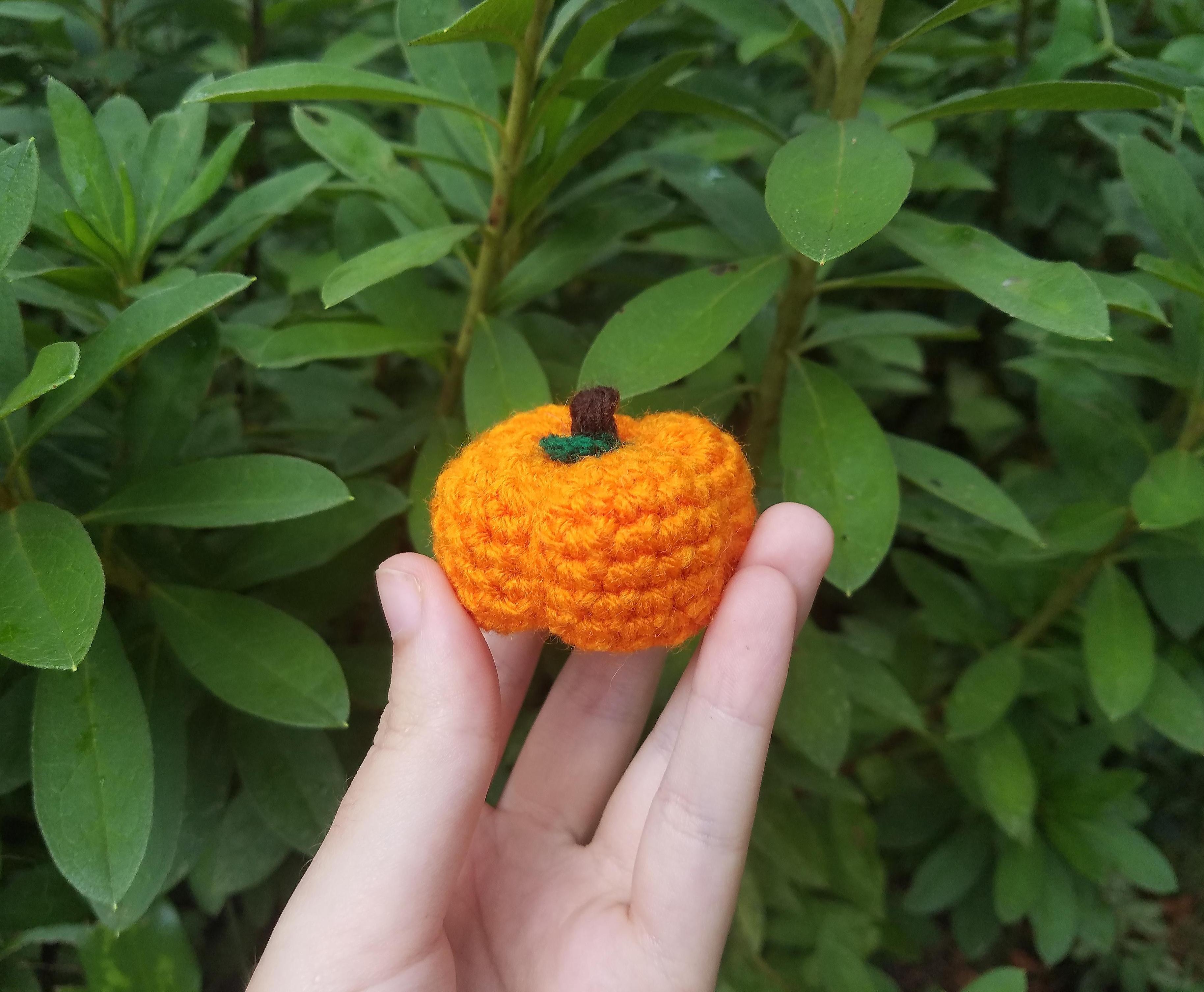 Easy Crochet Mini Pumpkin -a Visual Guide for Beginners-