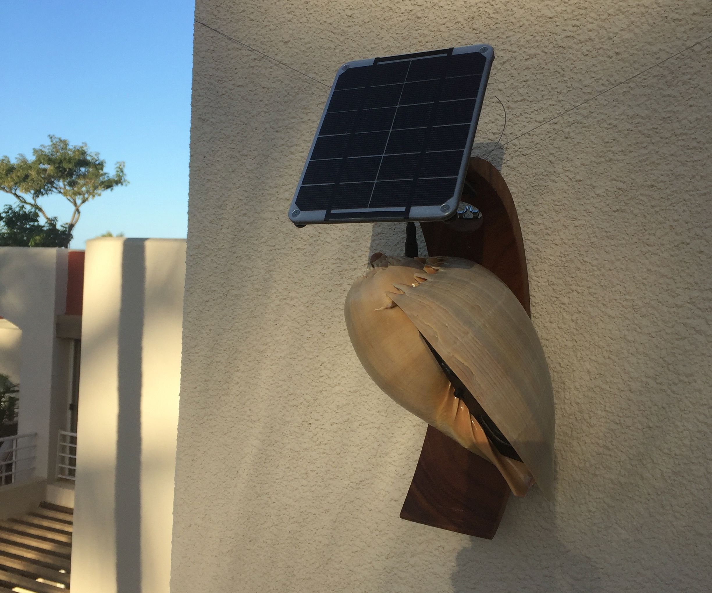 Solar Powered Conch Screamer
