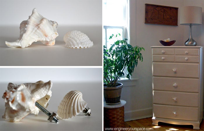 DIY Decorative Shell Dresser Knobs