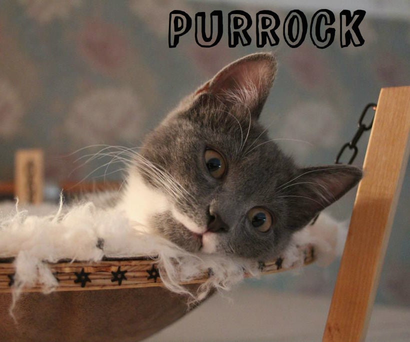 Purrock! Hammock for Your Purring Friend