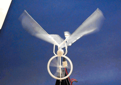 Mini-Ornithopter Prototypes