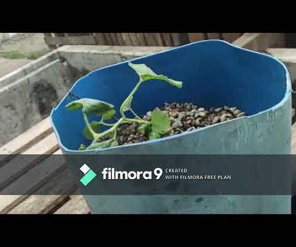  Aquaponics in Your Backyard