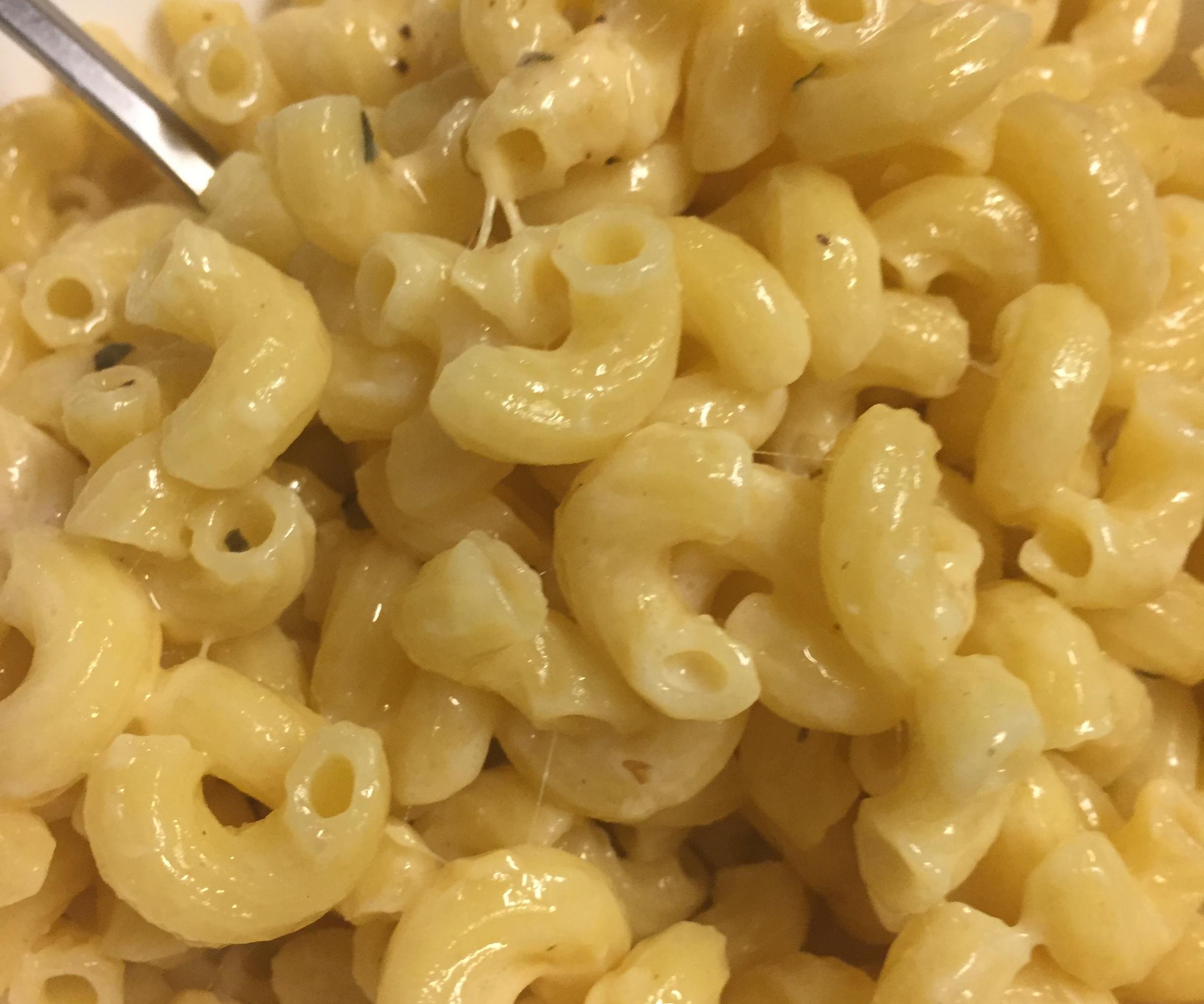 Creamy Macaroni and Cheese