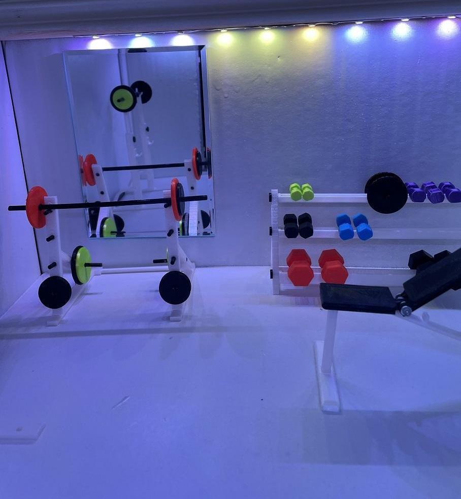 A Self-opening Miniature Gym With Music and Lights