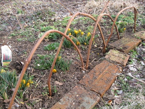 Grapevine Edging for Flowerbeds