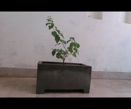 How to Make a Concrete Planter