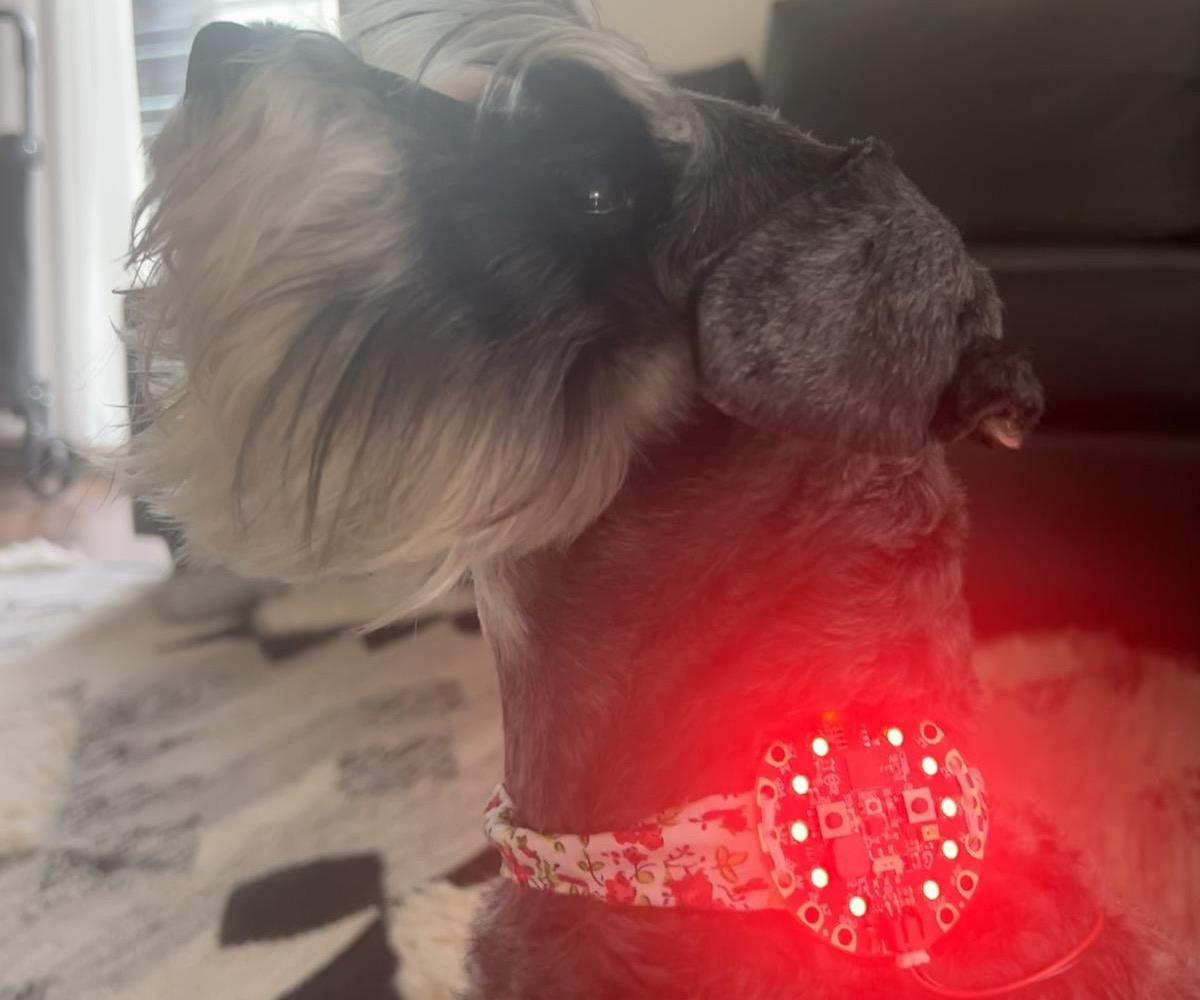 Wearable Light-Up Collar