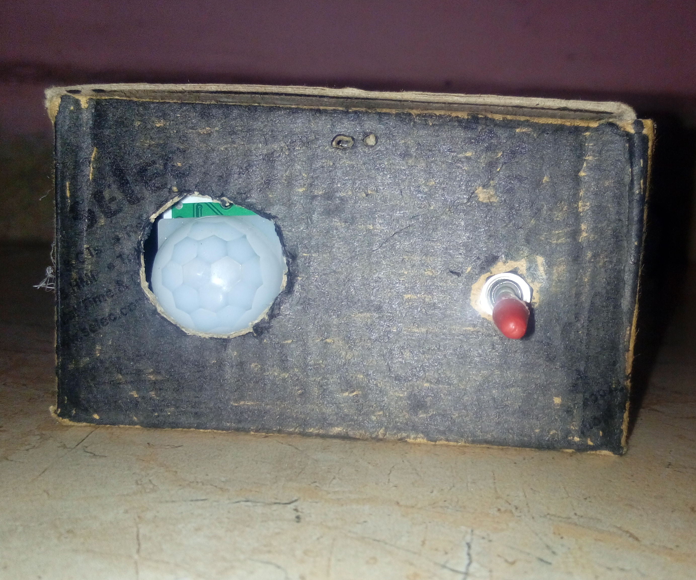 PIR Motion Sensor