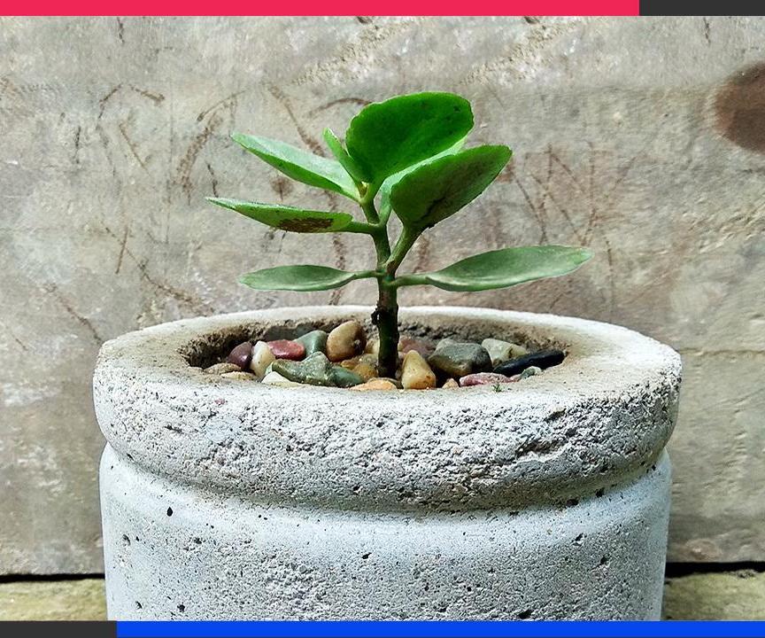Concrete Tree Planter