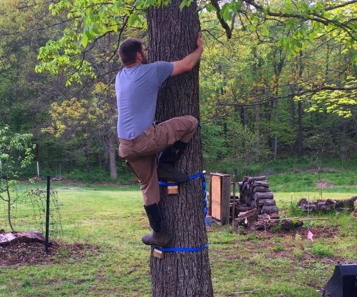 Tree Steps – a Tree Friendly Climbing Device for the Adventurous