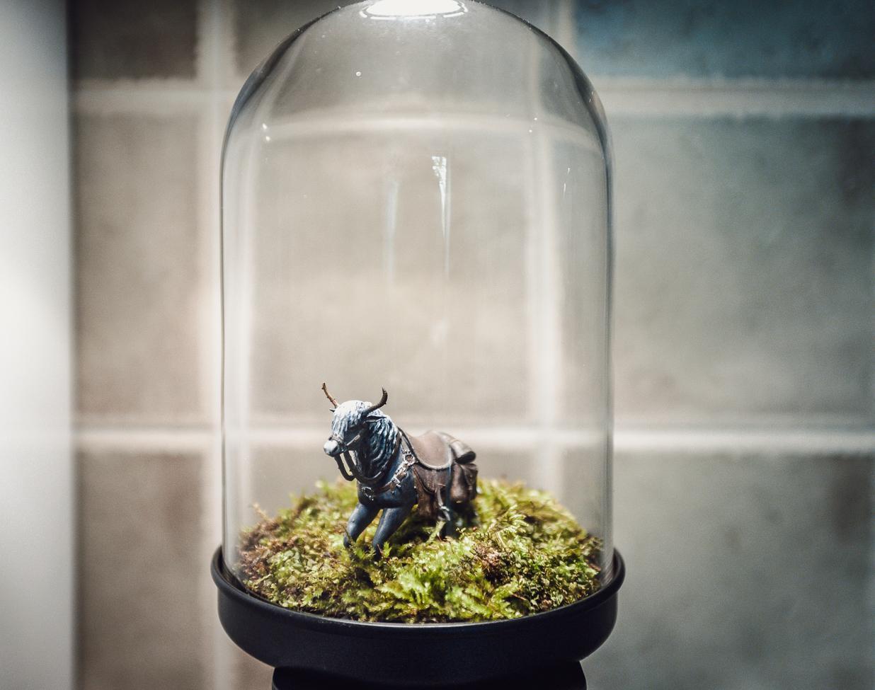 Elden Ring Moss Terrarium in 9 Easy Steps