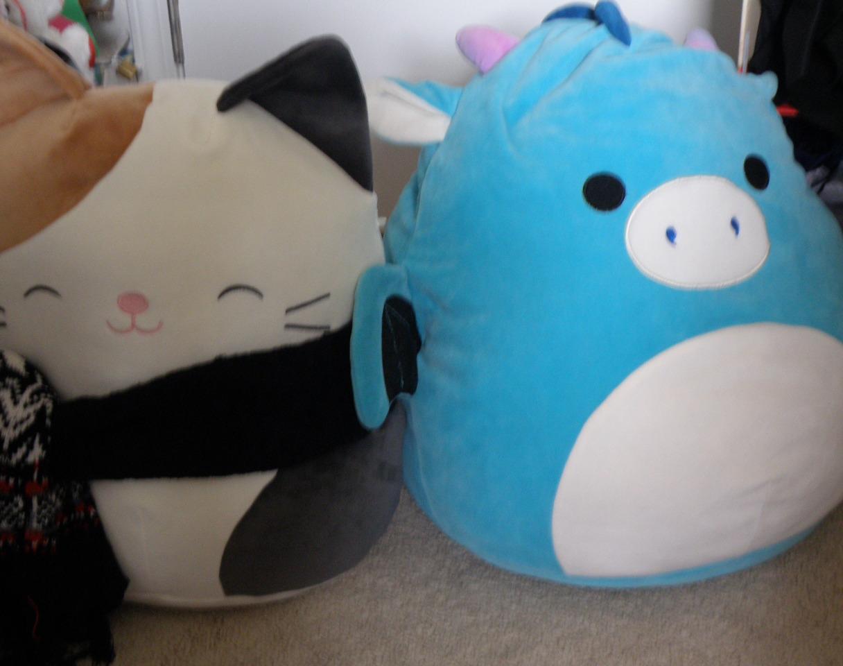 6 Things to Do With Squishmallows