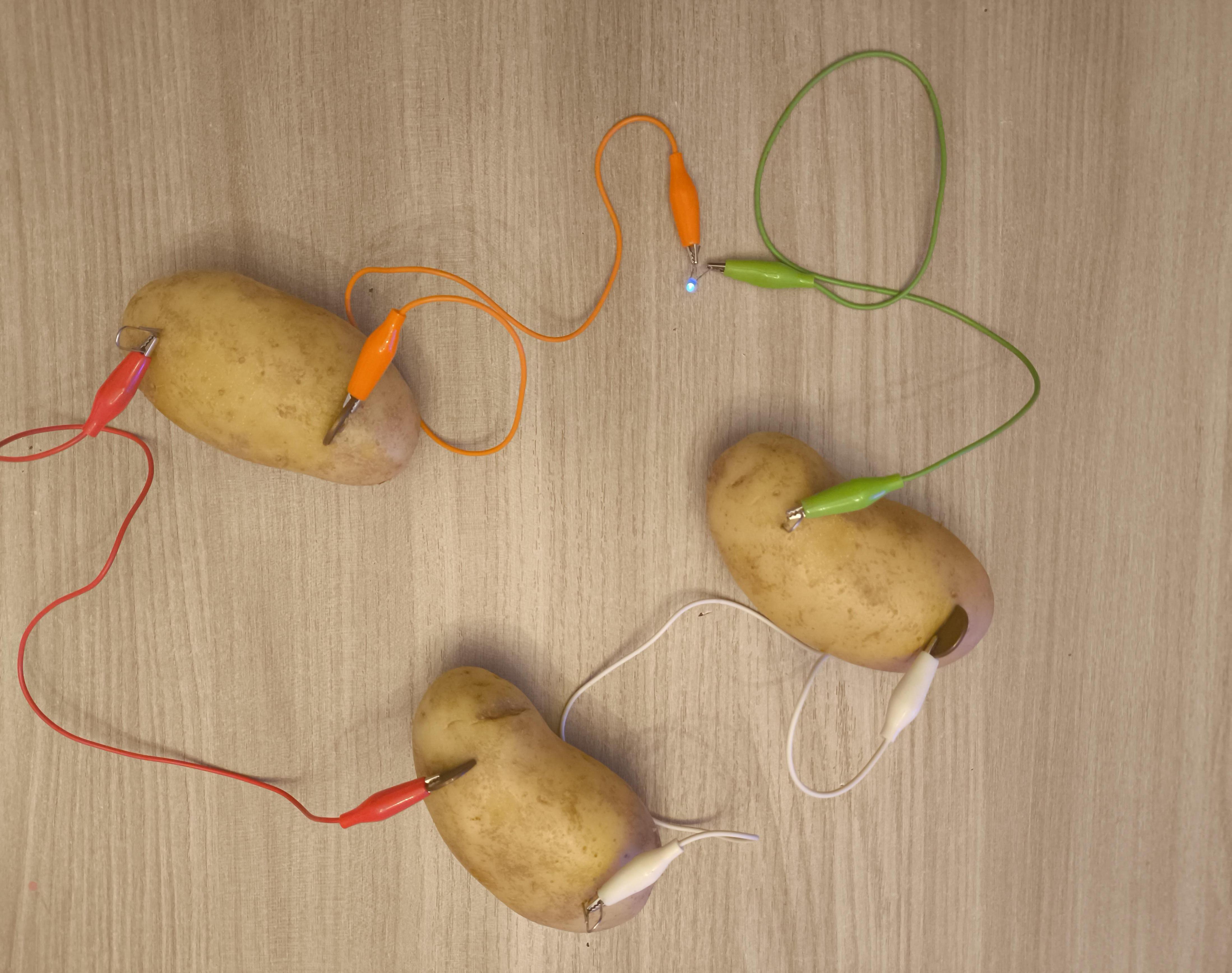 Potatoes Circuit (Circuito Delle Patate). Experiment for Educational Purposes in Order to Learn How to Create an Actually Functioning Electrical Circu