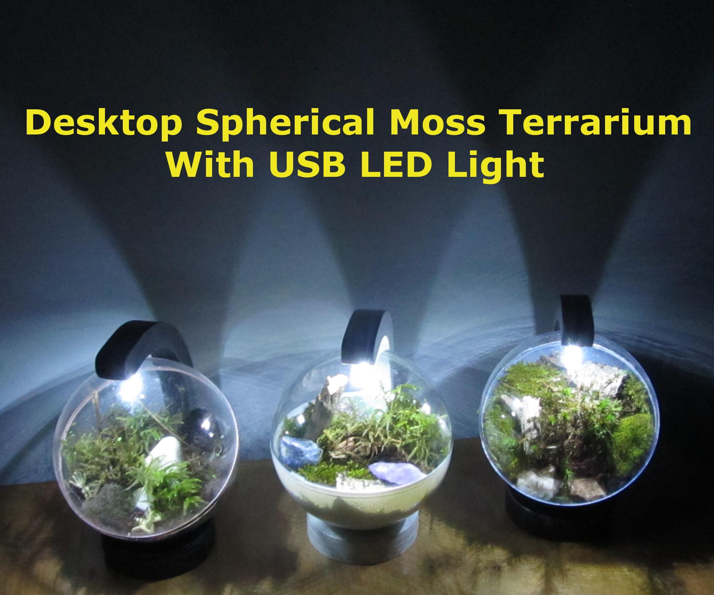  Desktop Spherical Moss Terrarium