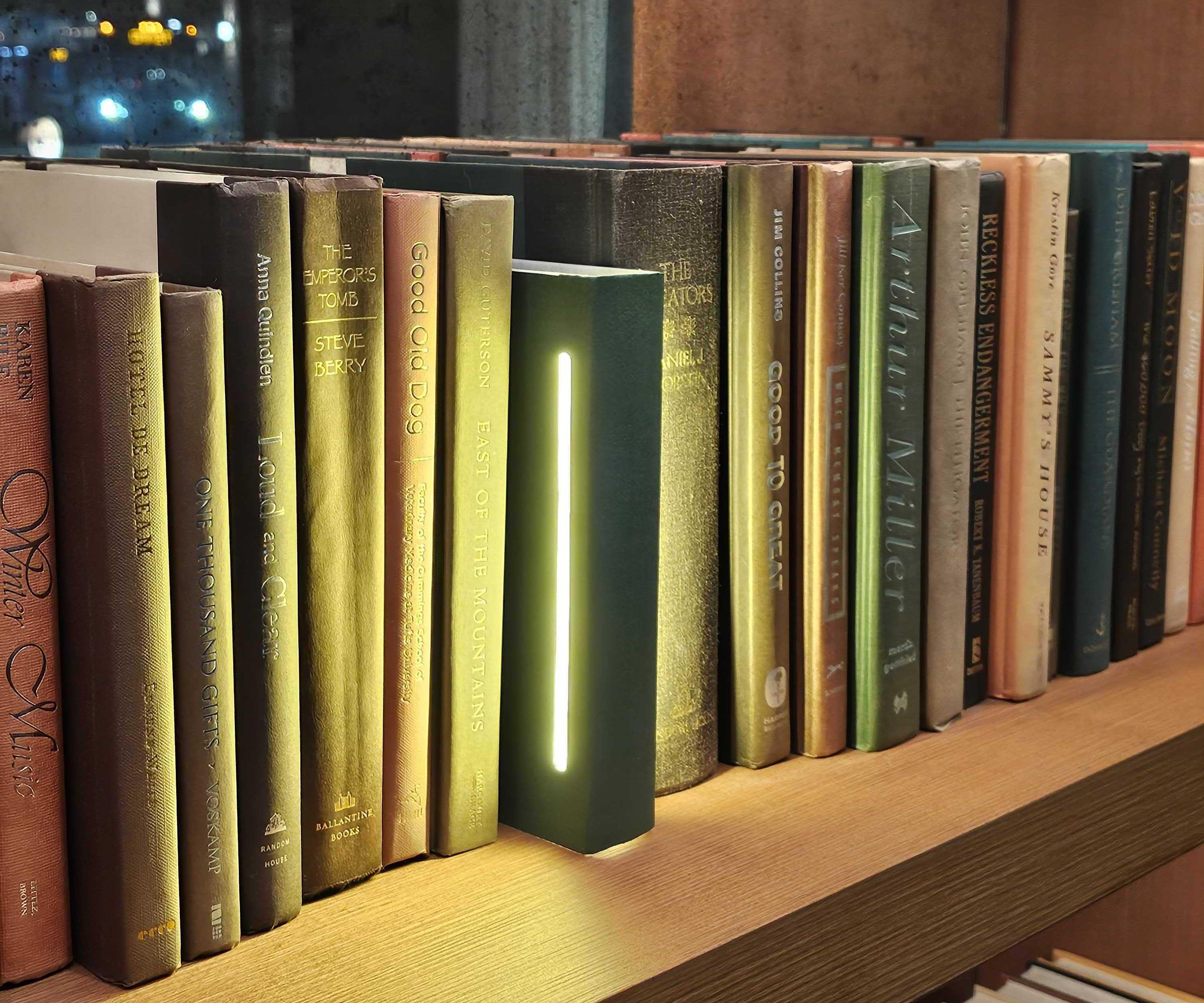 Slide in Slide Out Bookshelf Light