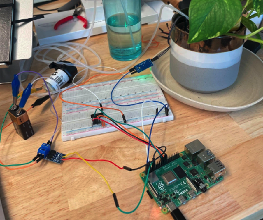 Build Your Own Plant Watering Robot With a Raspberry Pi