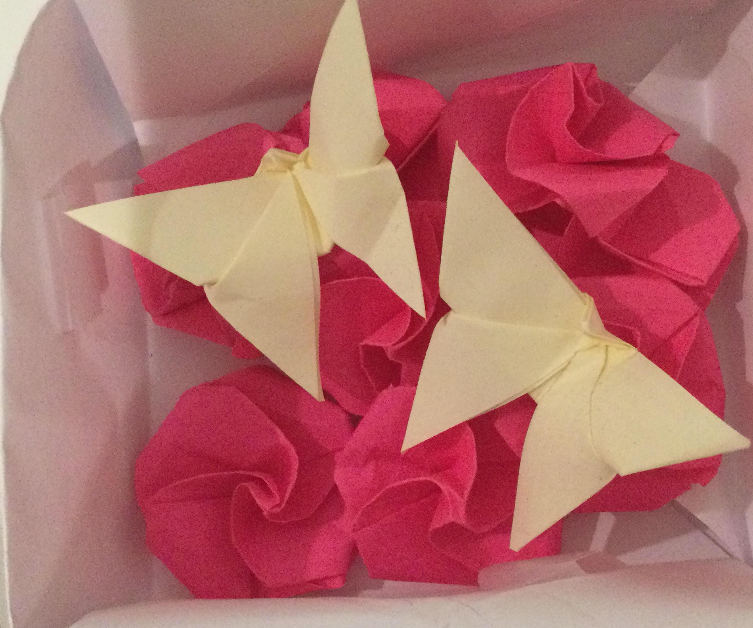 Origami Butterfly and Rose Garden in a Box