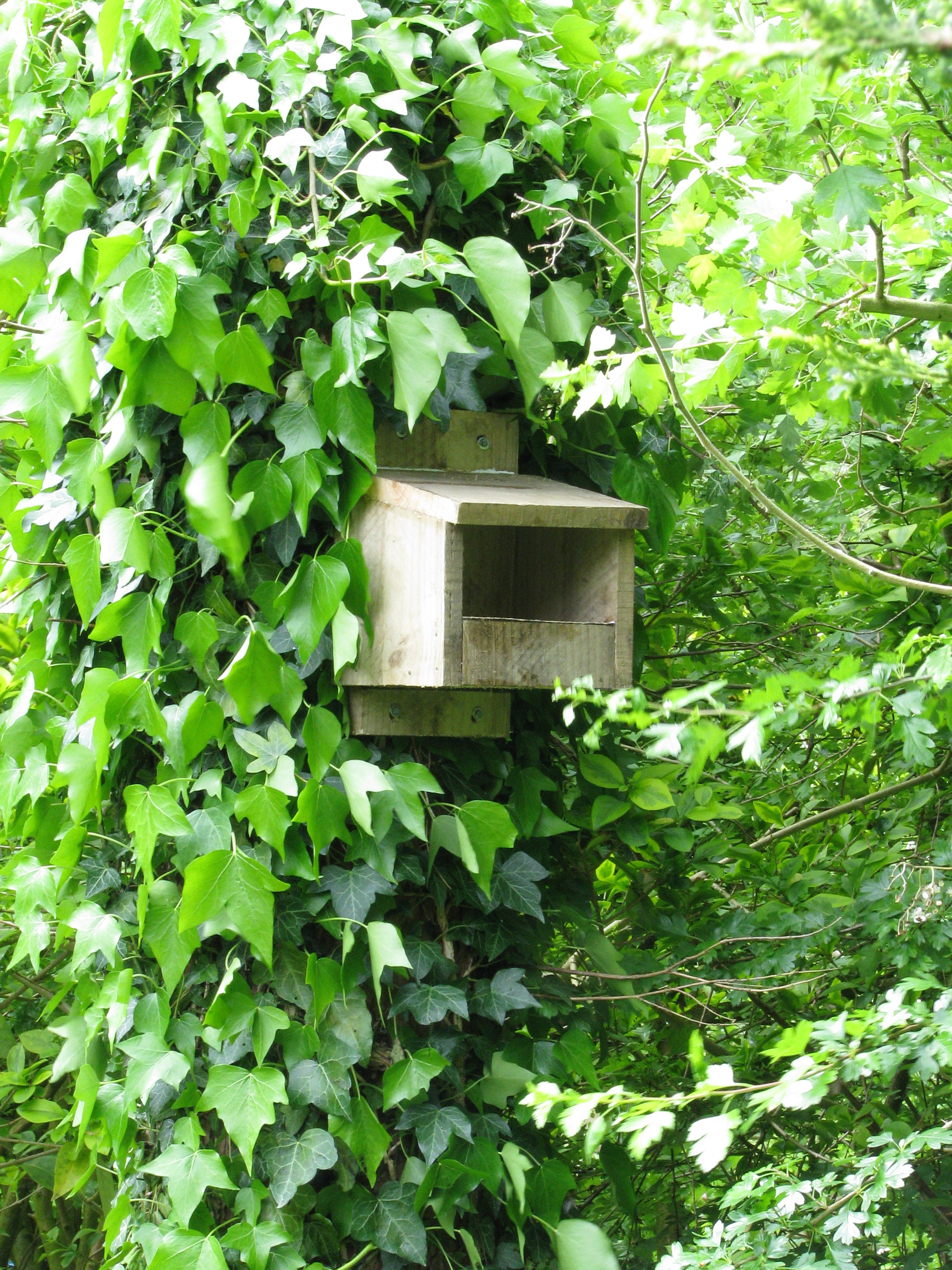 Simple Bird Nesting Box