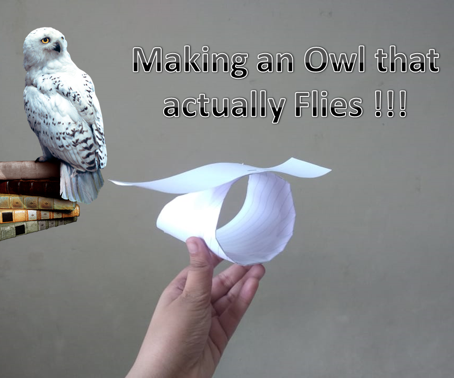 How to Make an Owl That Actually Flies.🦉.Make It Out of Paper