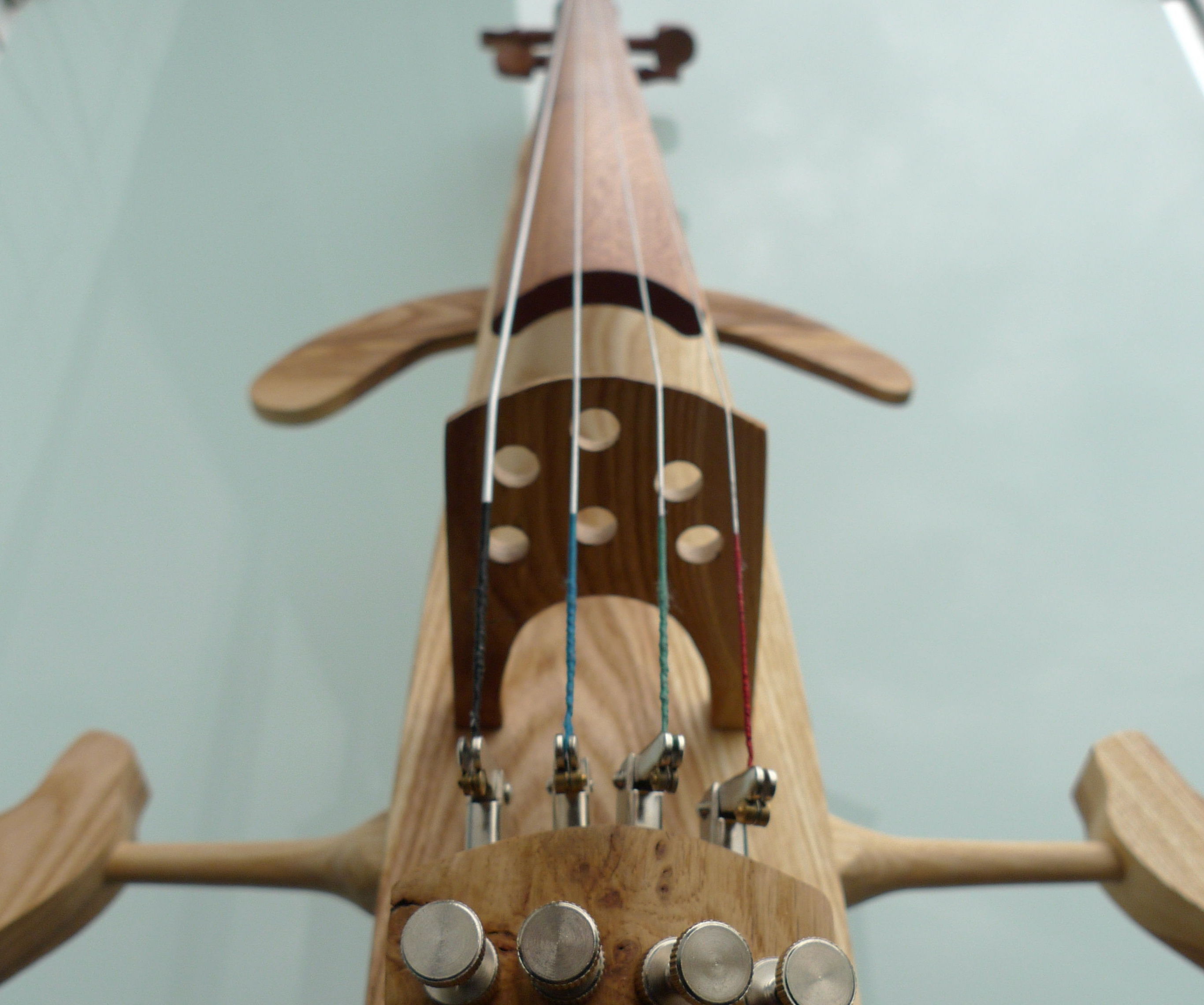 Hollow Bodied Practice Electric Cello