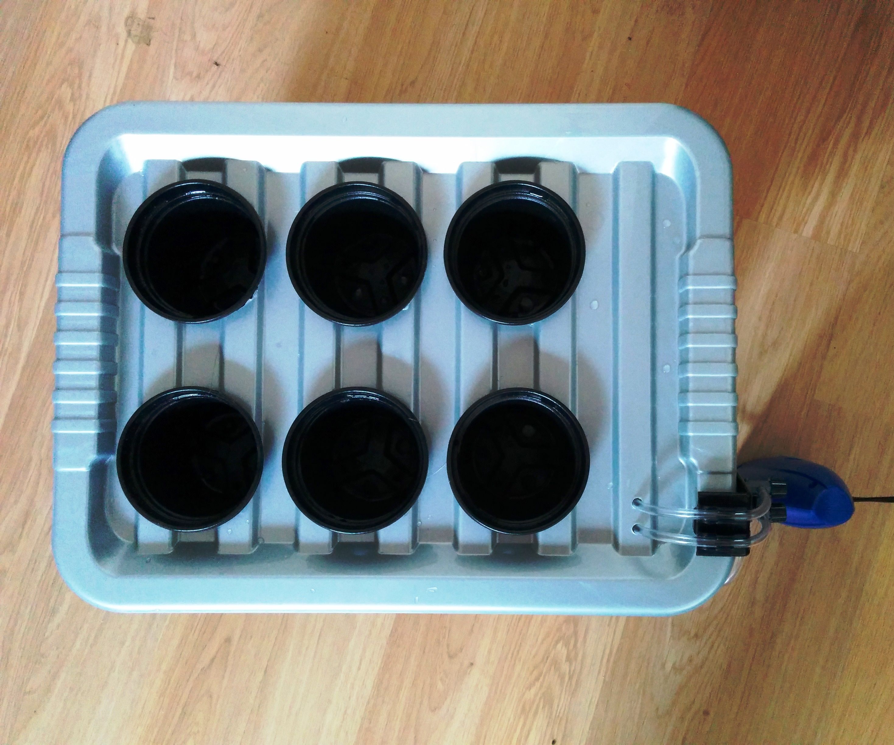 Deep Water Culture Hydroponics System - No Power Tools Required!