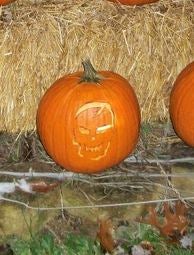 Carving a Pumkin