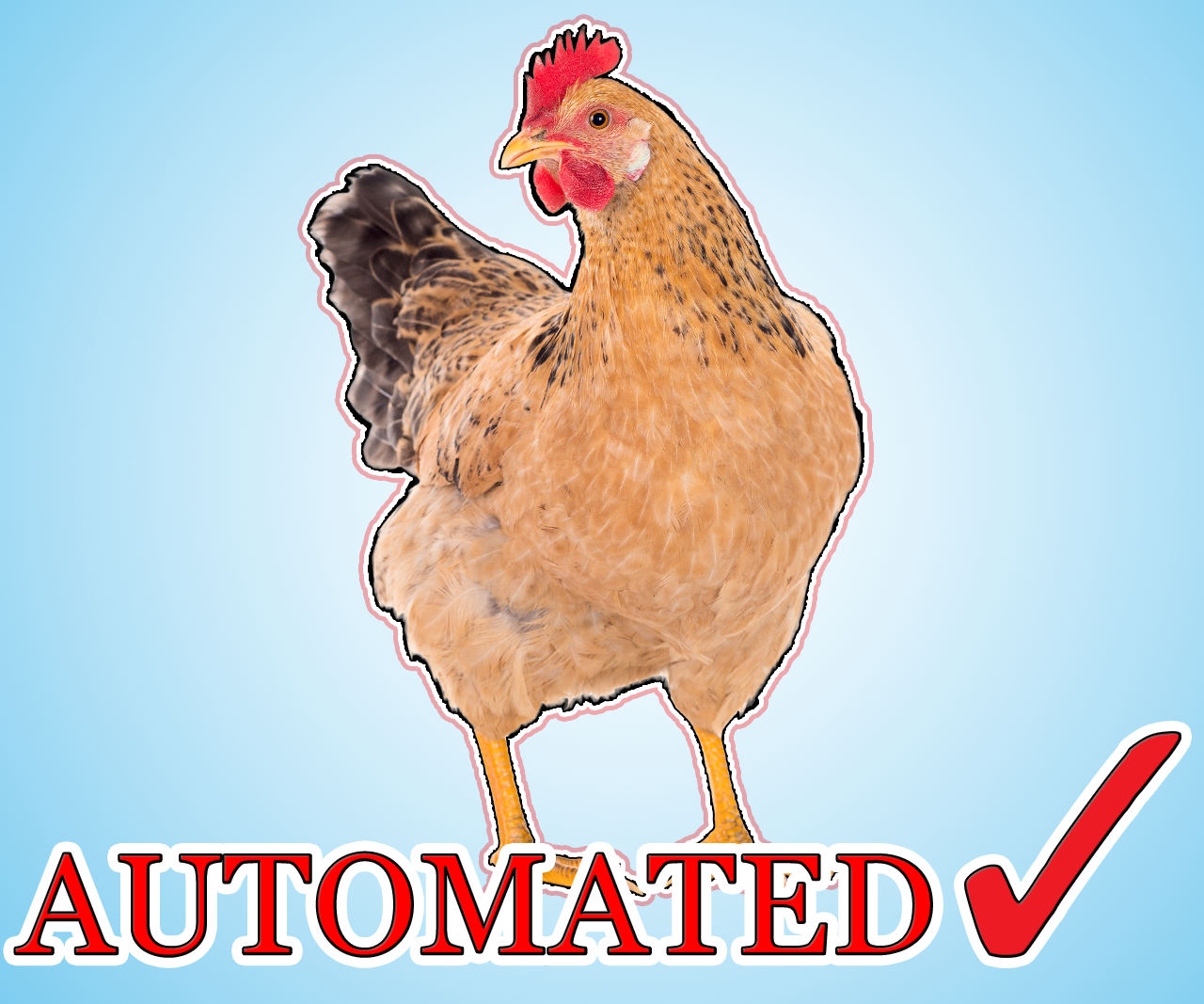 How to Automate Chicken Life