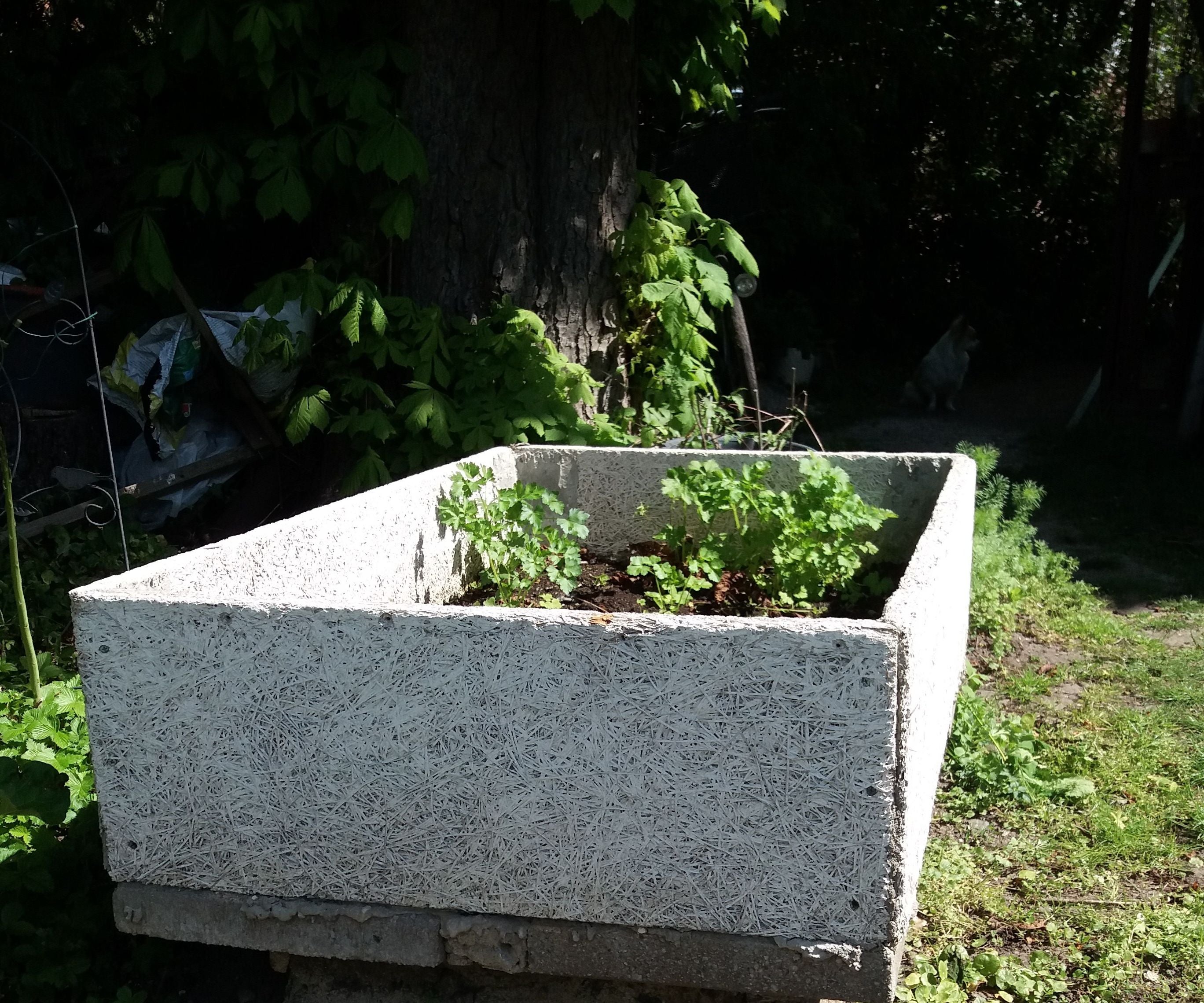 Slug-Proof Planters From Acoustic Panels