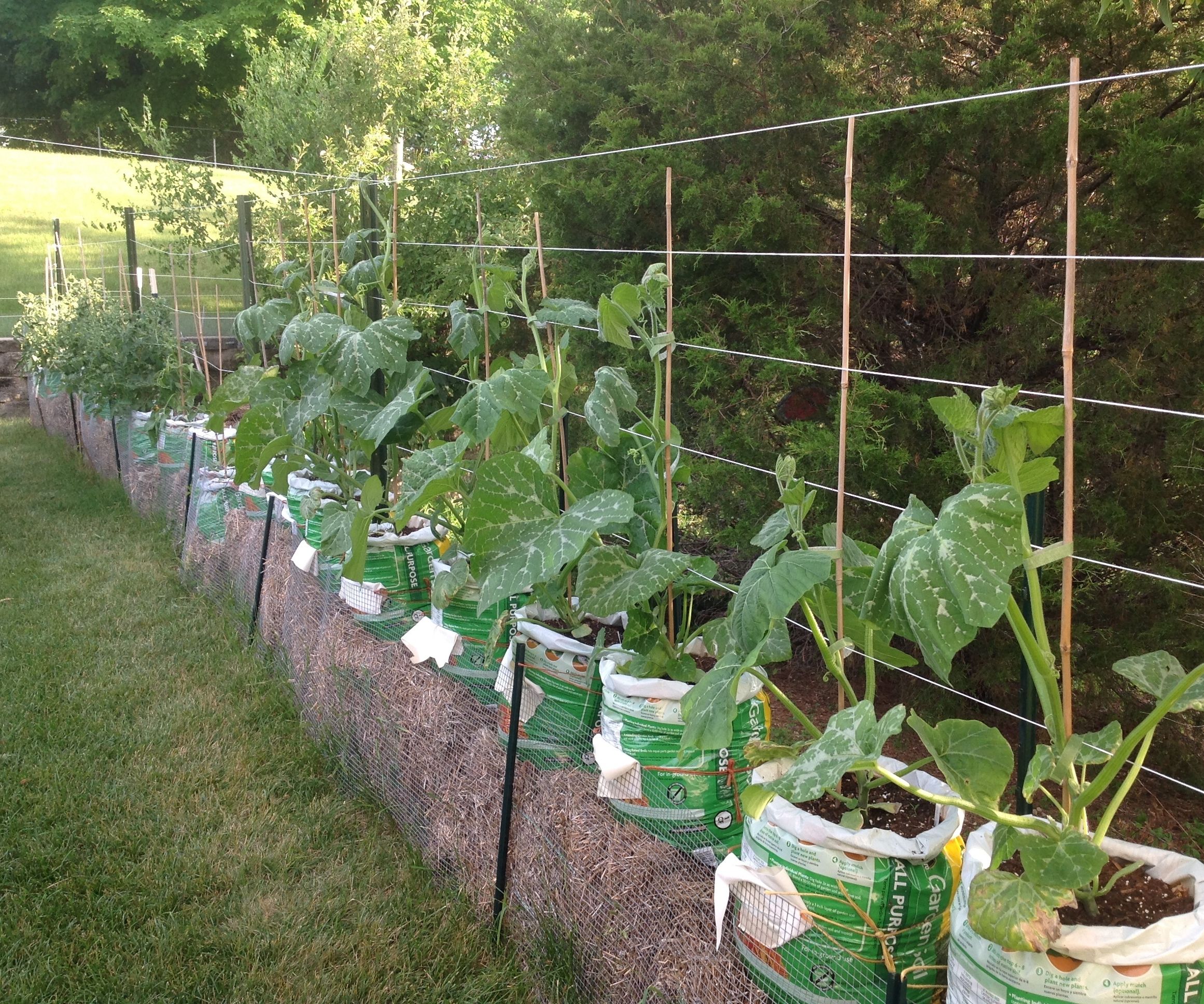 Straw Bale Gardening