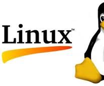 Commands Linux Por Beginners