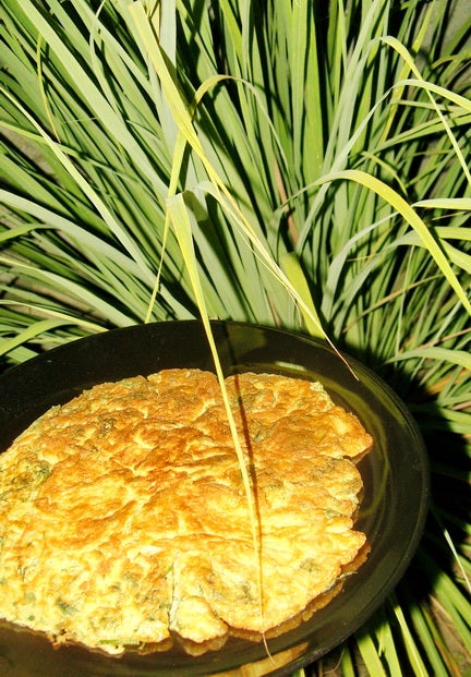 Thai Fried Omelette With Dill