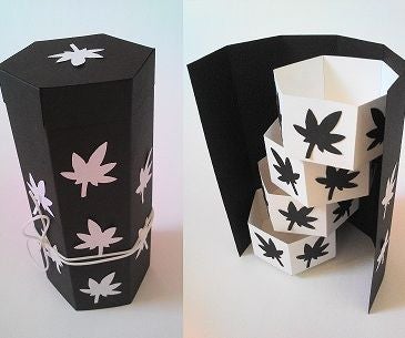 Hexagonal Gift Box