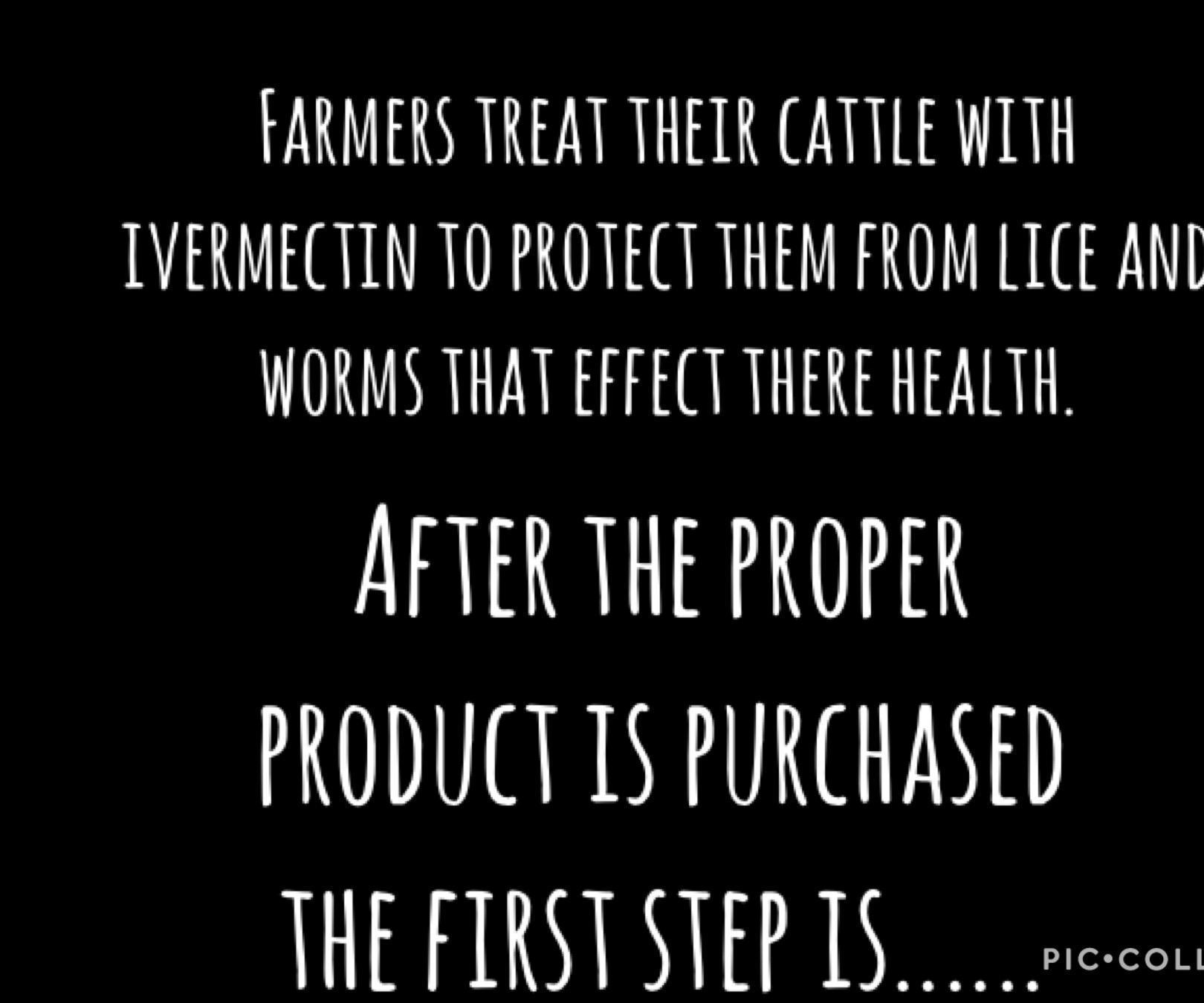 How Apply Ivermectin to Cattle.