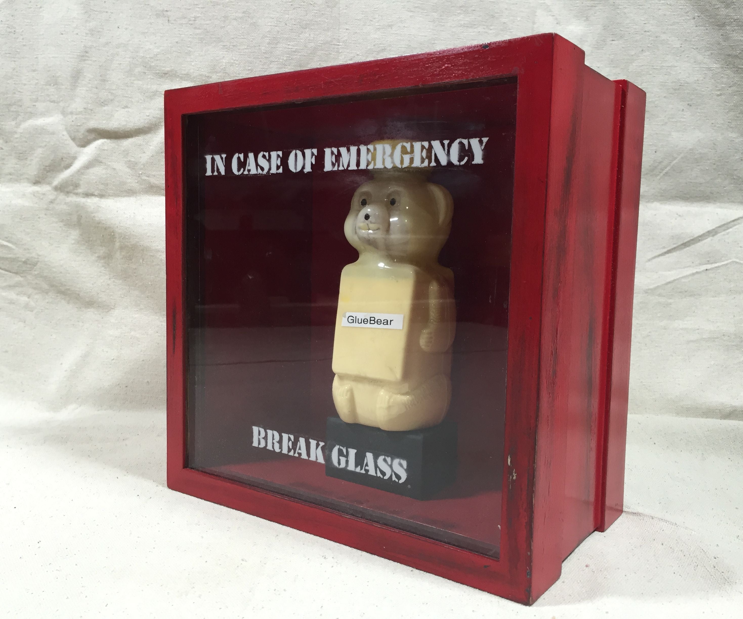 "In Case of Emergency..." Display Box