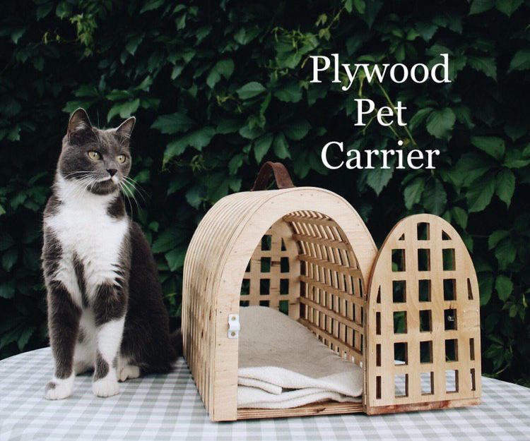 Plywood Pet Carrier