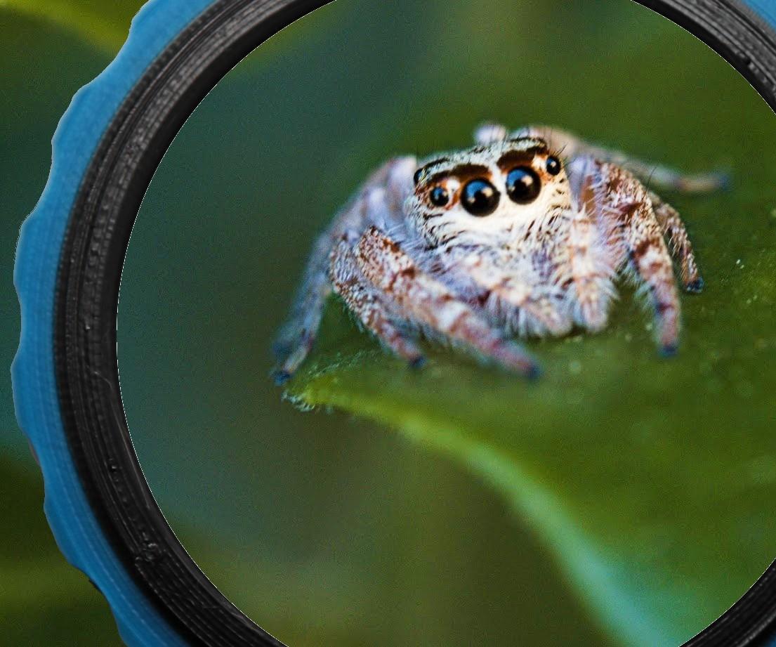 3D Print Your Macro Photography (part #2) the Reverse Lens Adaptor