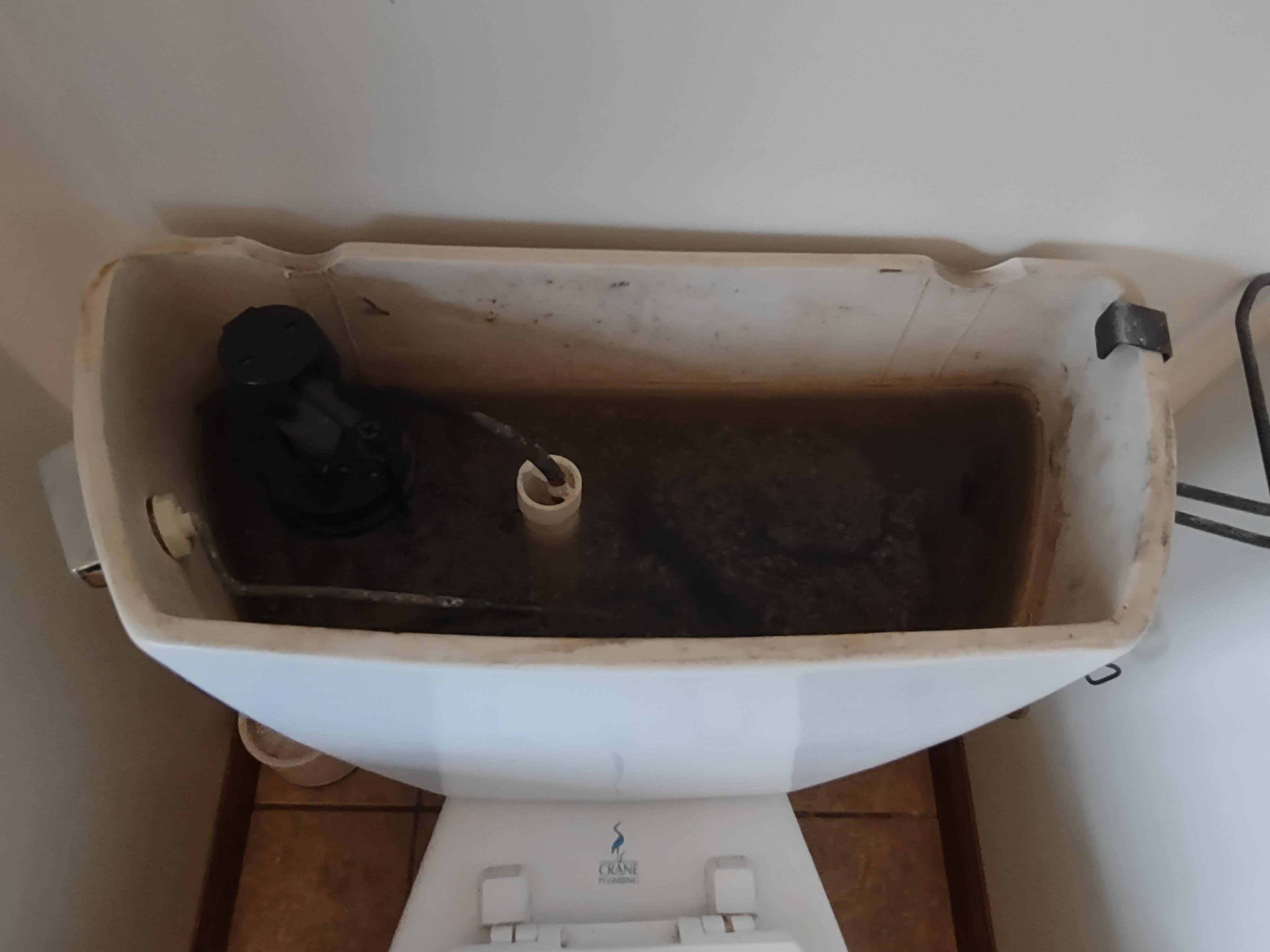 Fix a Toilet Tank: Loose Handle, Discolored Water, and High Water Level.