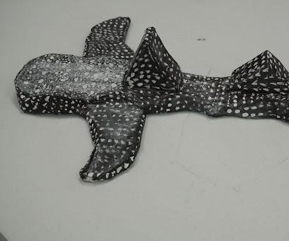 A Cardboard Whale Shark